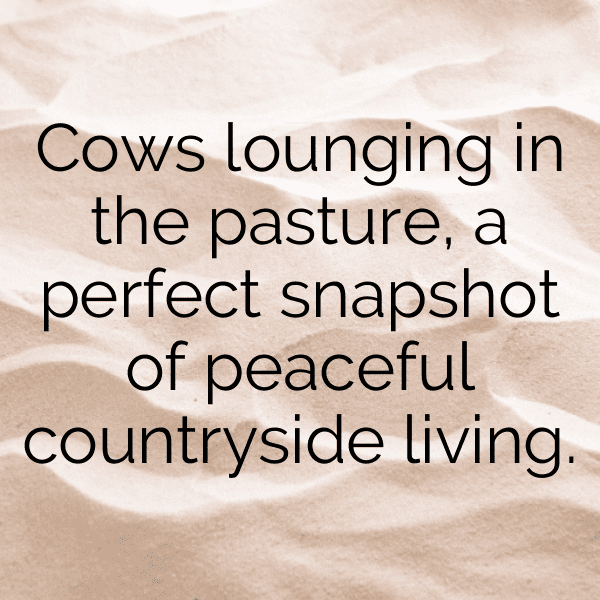Cow Captions Photo For Instagram-9ojJik