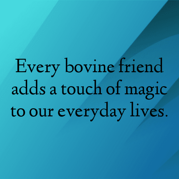 Cow Captions Photo For Instagram-aZpVsl