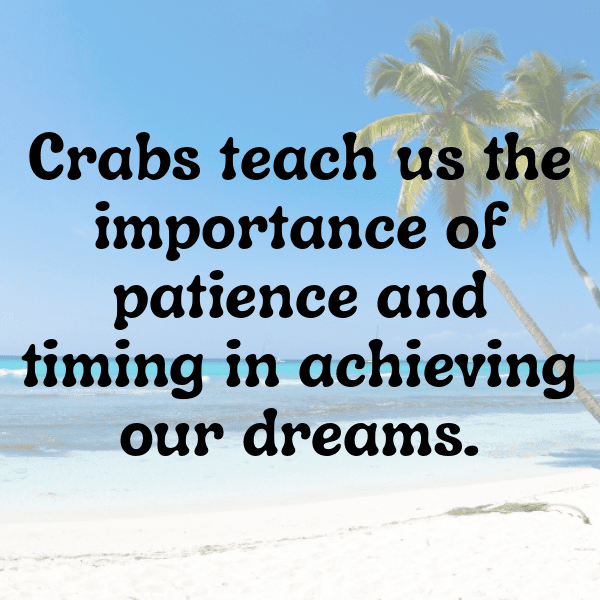 Crab Captions Image For Instagram-1dhsai