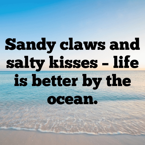 Crab Captions Image For Instagram-1w59pT