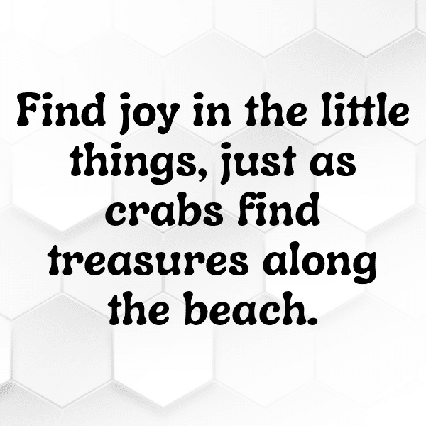 Crab Captions Photo For Instagram-HsMv1u