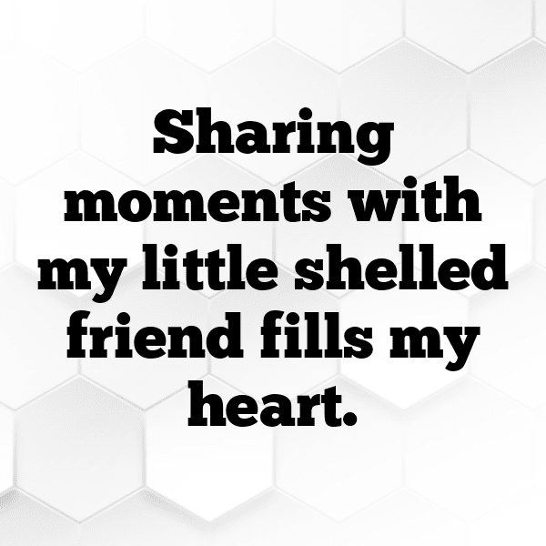 Crab Captions Photo For Instagram-ScM0nR