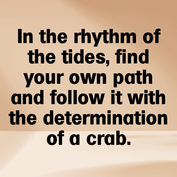 Crab Captions Photo For Instagram-VSXYvJ