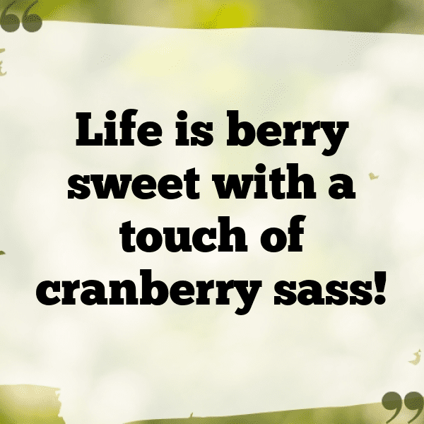 Cranberry Captions Image For Instagram-rsy2nB