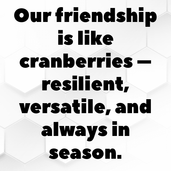 Cranberry Captions Image For Instagram-XlHoB7