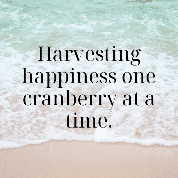 Cranberry Captions Photo For Instagram-4gZ8hj