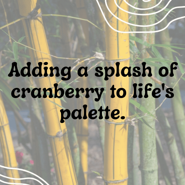 Cranberry Captions Photo For Instagram-9ocOlh