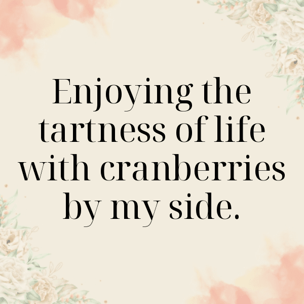 Cranberry Captions Photo For Instagram-kyCHcb