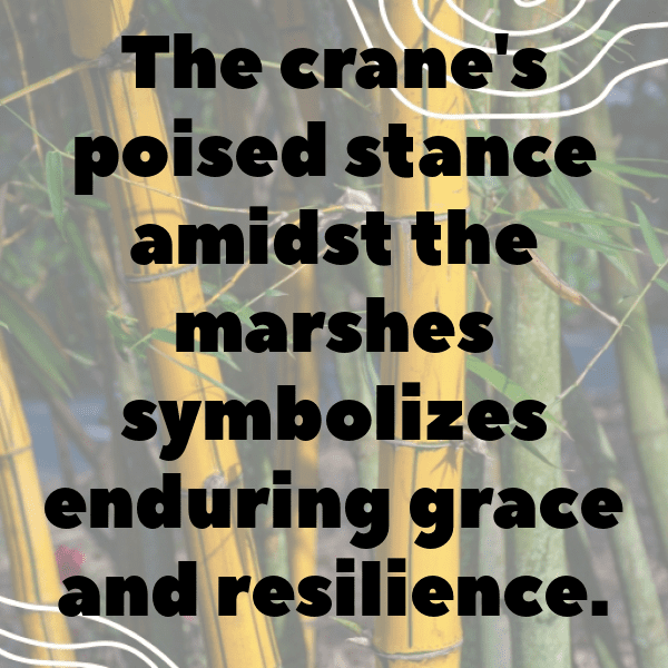 Crane Captions Image For Instagram-0FyRGL