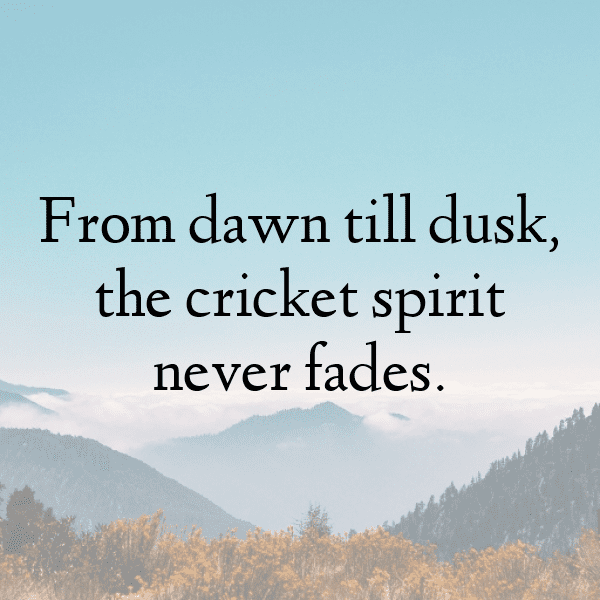 Cricket Captions Image for Instagram-wPotKI