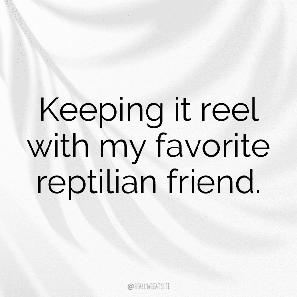 Crocodile Captions Image For Instagram-PX5yJt