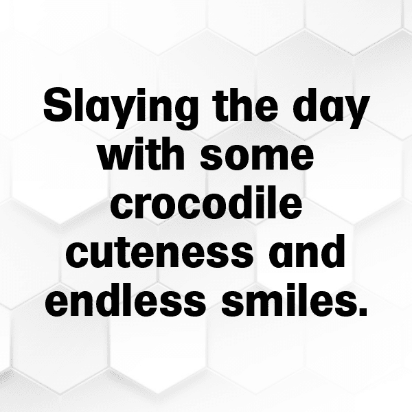 Crocodile Captions Image For Instagram-xeXZ0q