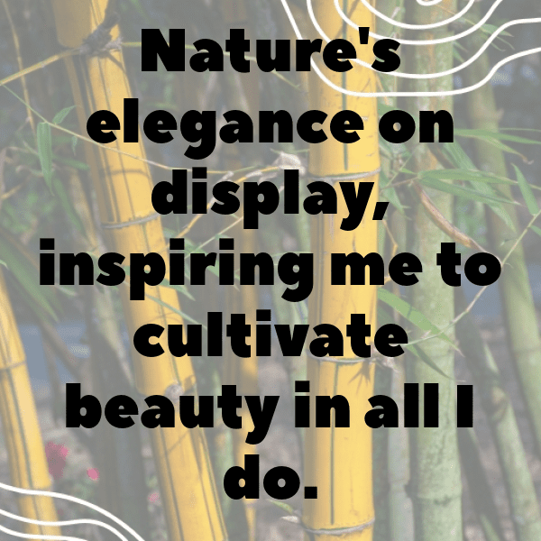 Crocus Captions Image For Instagram-qbKcLn