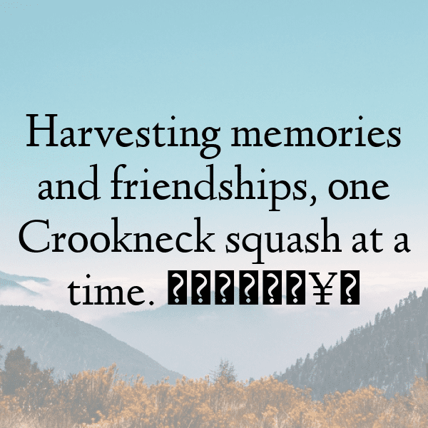 Crookneck Squash Captions Photo For Instagram-0isrKm