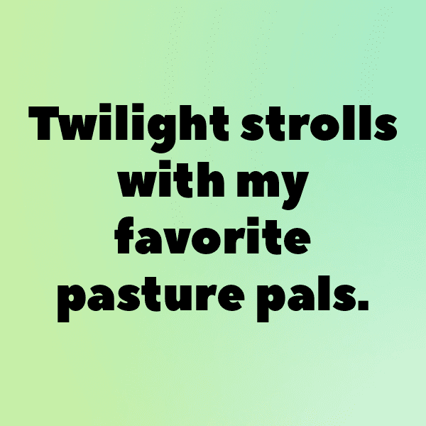 CrossFit Captions Image for Instagram-cvcL0R