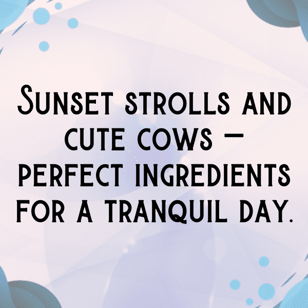 CrossFit Captions Image for Instagram-gXWvZF