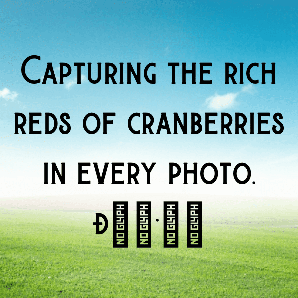 Crowberry Captions Image For Instagram-AnmW4w