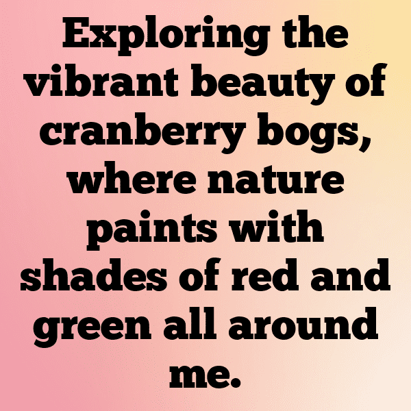 Crowberry Captions Image For Instagram-JrJEOG