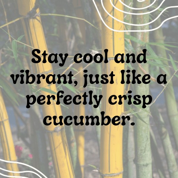 Cucumber Captions Image For Instagram-eJeBDt