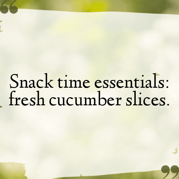 Cucumber Captions Image For Instagram-GeOAKL