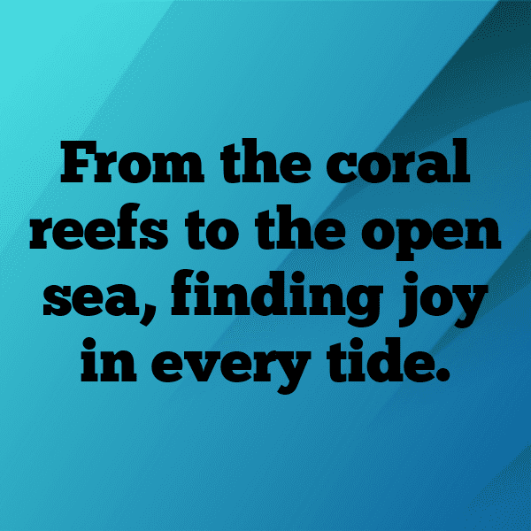 Cucumber Captions Photo For Instagram-b6KTcU