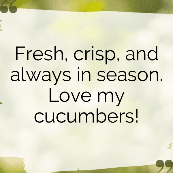 Cucumber Captions Photo For Instagram-R10zQe