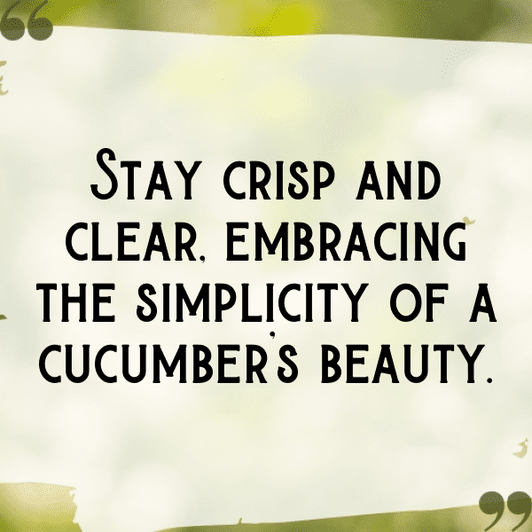 Cucumber Captions Photo For Instagram-Vu1zhe