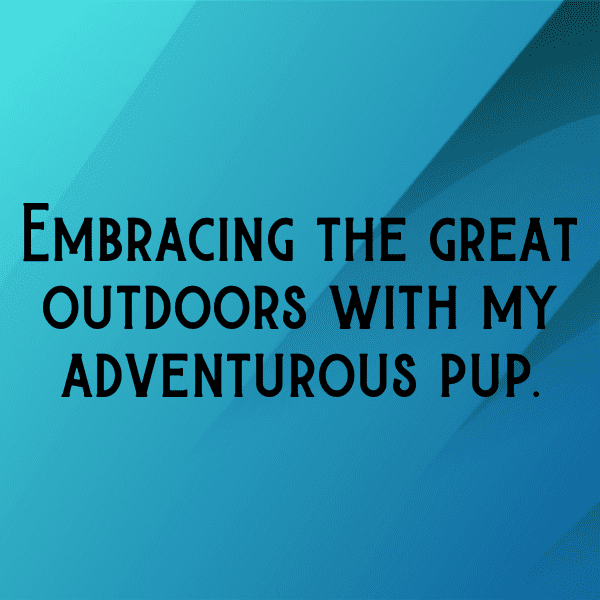 Cute Pet Photos Captions Image For Instagram-C42jKD