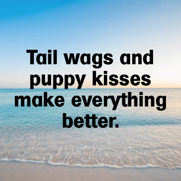 Cute Pet Photos Captions Photo For Instagram-gdhP6i