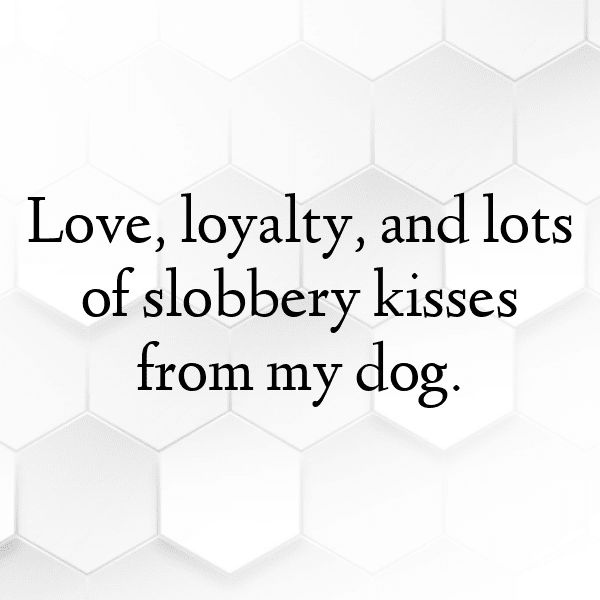 Cute Pet Photos Captions Photo For Instagram-MO5ILB