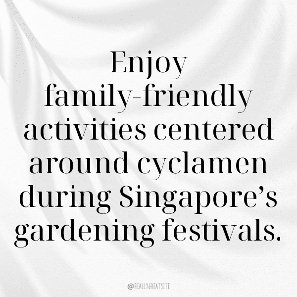 Cyclamen Captions Image For Instagram-jrvIXS