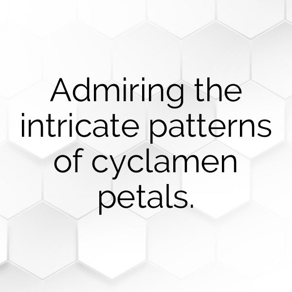 Cyclamen Captions Photo For Instagram-a5WtJm