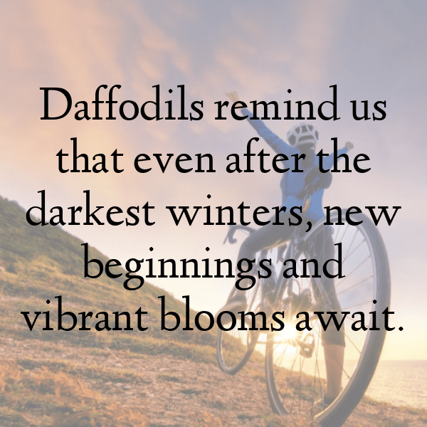 Daffodil Captions Image For Instagram-ascERh