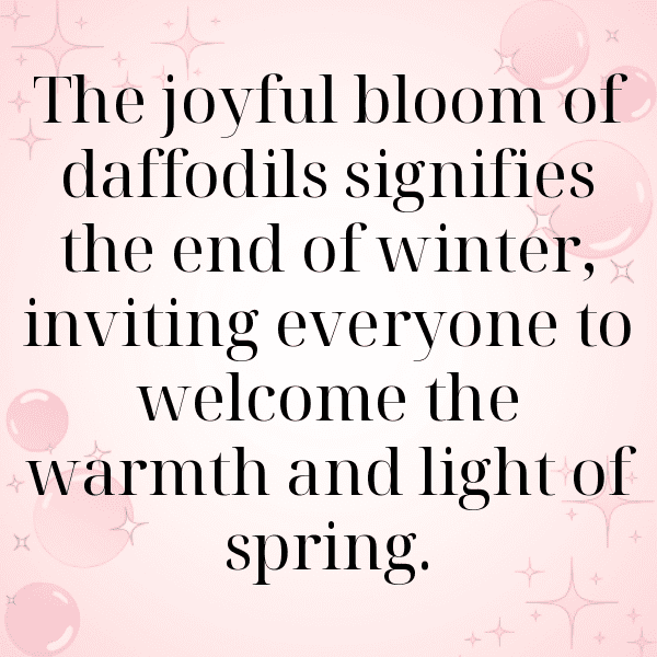 Daffodil Captions Image For Instagram-jN8PSJ