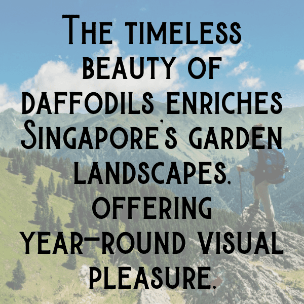 Daffodil Captions Image For Instagram-XanOGo