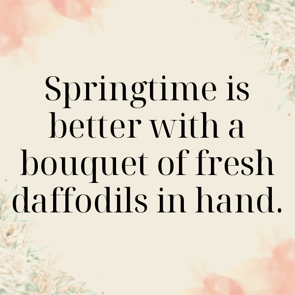 Daffodil Captions Photo For Instagram-3fWYl7