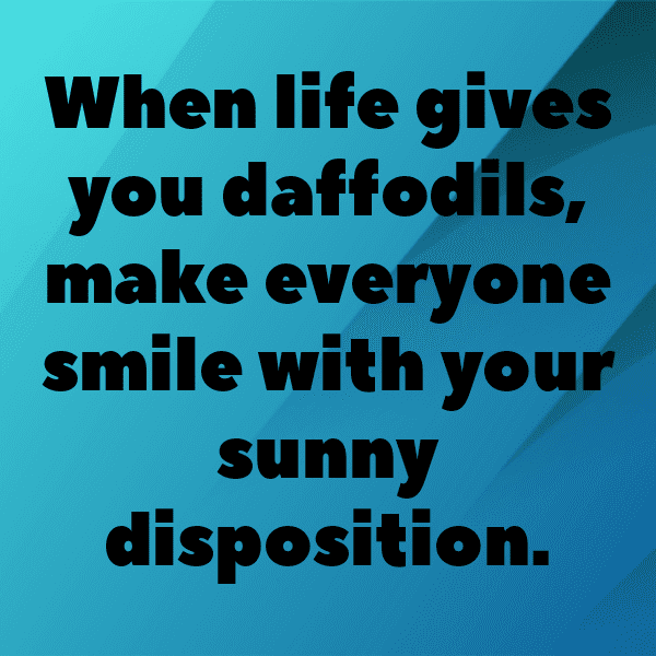 Daffodil Captions Photo For Instagram-BSowJL