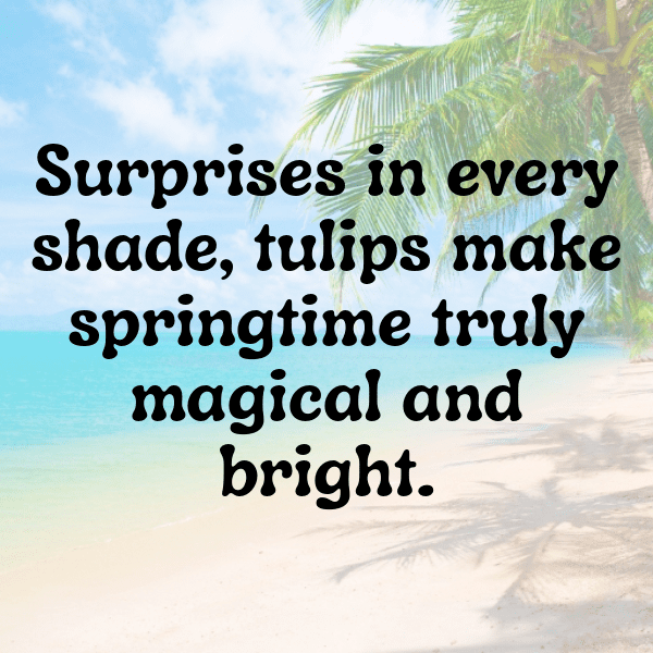 Dahlia Captions Image For Instagram-HV7Stu