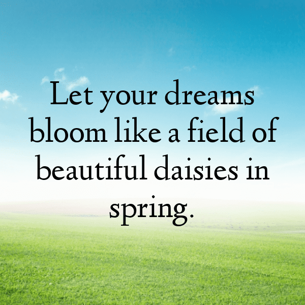 Daisy Captions Image For Instagram-4Xgq2w