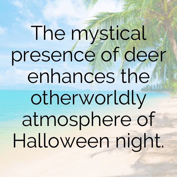 Deer Captions Image For Instagram-3gaEbn