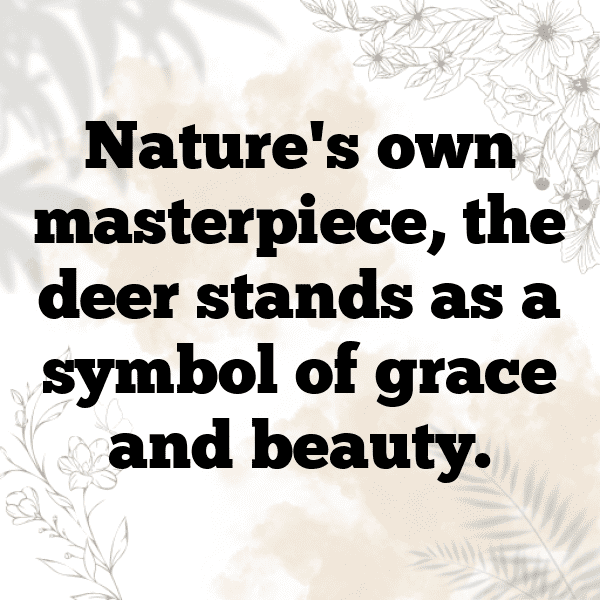 Deer Captions Image For Instagram-BHTJt2