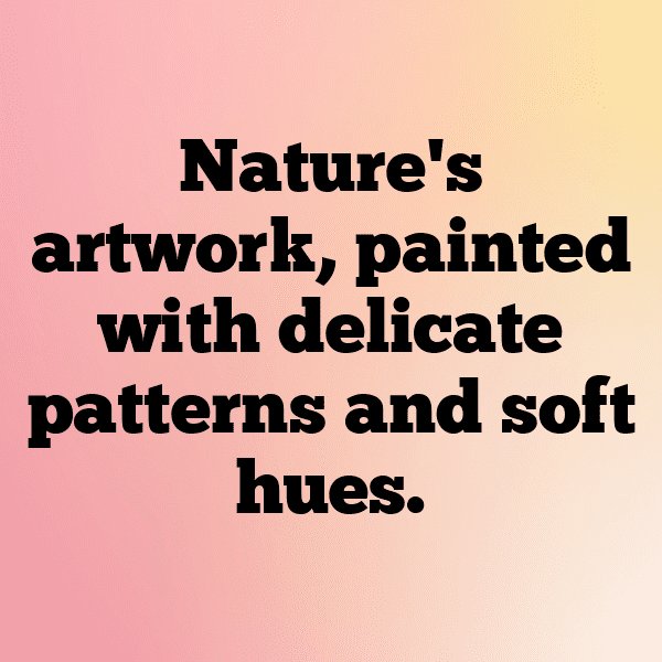 Deer Captions Image For Instagram-mW9pYt