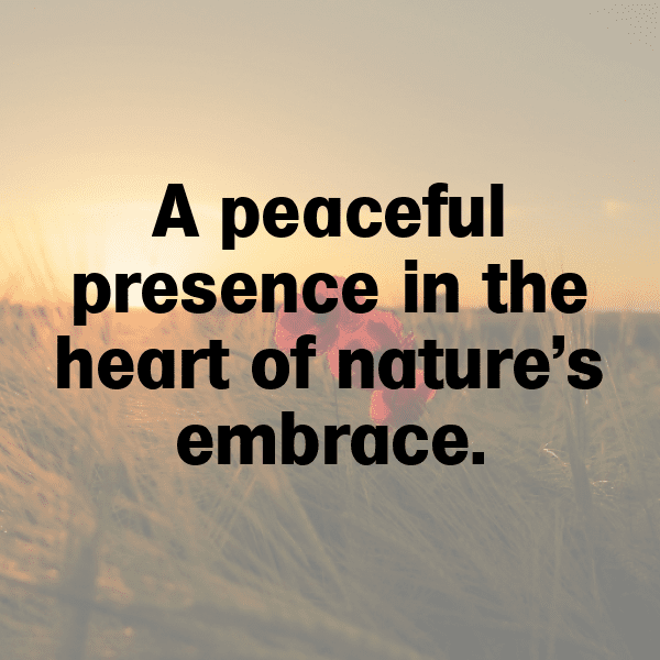 Deer Captions Image For Instagram-r6vnv8