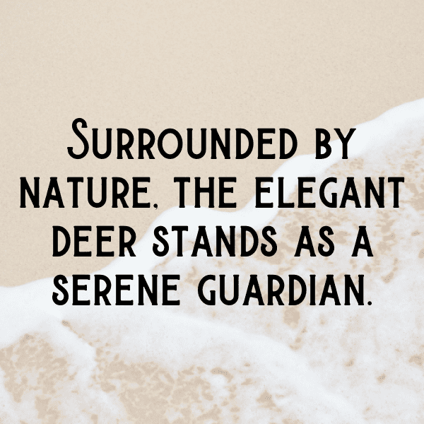 Deer Captions Photo For Instagram-18wYGu