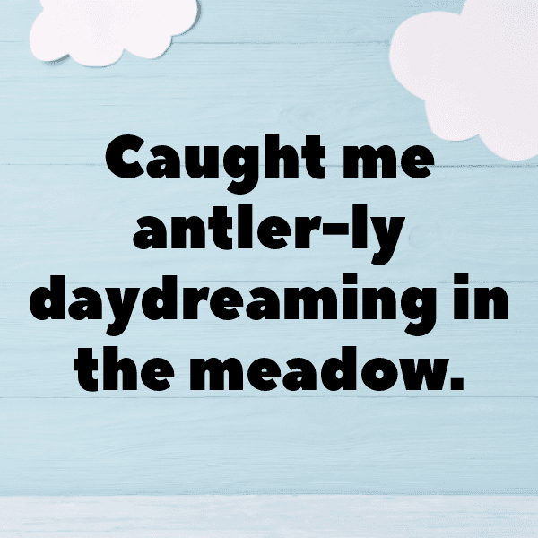 Deer Captions Photo For Instagram-i8faFs