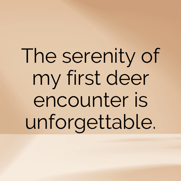 Deer Captions Photo For Instagram-txao9P