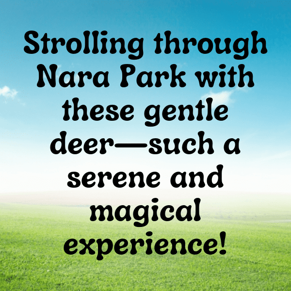 Deer Captions Photo For Instagram-woOrml