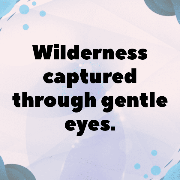 Deer Captions Photo For Instagram-WS7nAp