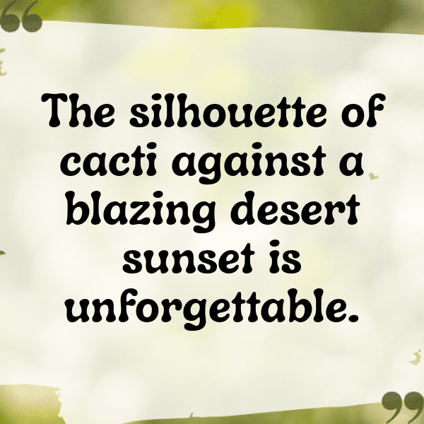 Desert Exploration Captions Photo for Instagram-yhzHti