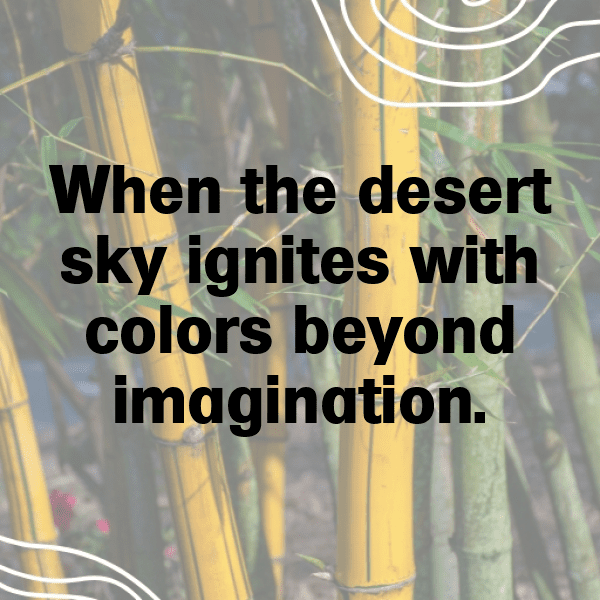 Desert Sunset Captions Image for Instagram-1SwsOM